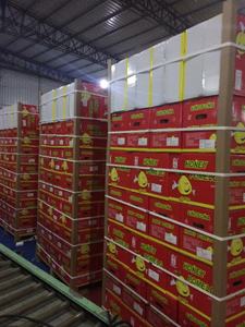 ส้มโอสดและส้มโอหวานจากจางโจวคมมังกรคุณภาพสูงขายร้อน10กก./ctns เกรด1 - Product Image 6