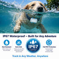 Traceur GPS pour animaux de compagnie G674G en plastique, haute précision, localisation en temps réel, 4G Android, étanche, autonomie de plus de 20 heures pour chiens et chats