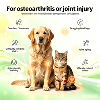 Comprimés de Soin Articulaire Longue Durée pour Chiens et Chats Seniors : Glucosamine, Chondroïtine, MSM, Collagène avec Extrait de Curcuma pour le Soutien des Hanches
