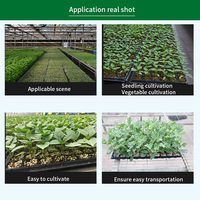 Plateau de semis XT50A en plastique robuste à 50 alvéoles pour plants de tomates et semis d'arbres – Prix usine