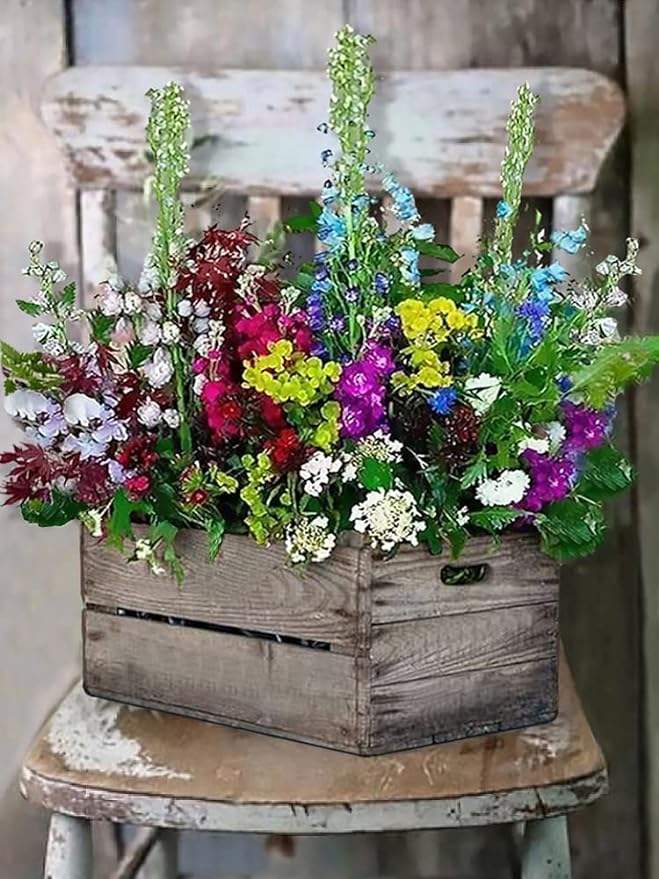 Color As Picture Shown