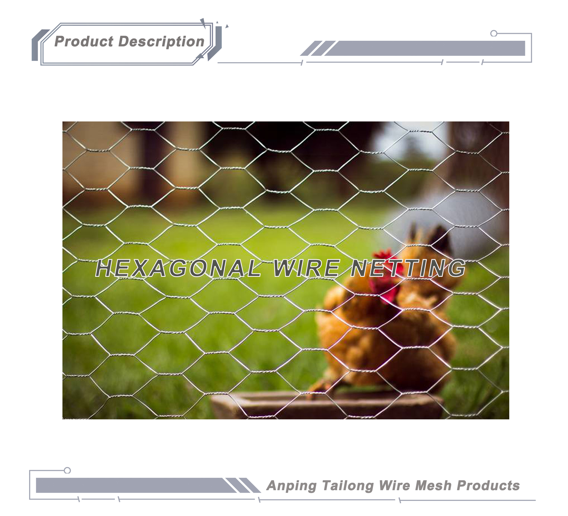 TLSW Galvanized Hexagonal Wire Netting Chicken Wire Mesh BWG22