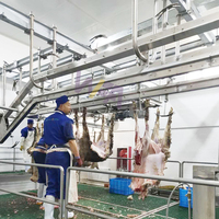 Machine d'abattoir pour moutons et chèvres avec composants de base de convoyeur à pattes avant, y compris moteur à roulement pour abattoir