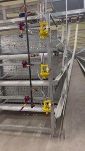 भारत में बिक्री के लिए चिकन फार्म का उपयोग चिकन फार्म के लिए पोल्ट्री परतों के लिए स्वचालित एच-प्रकार की बैटरी चिकन पिंजरे - Product Image 2