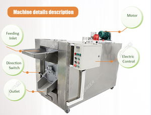 Tostadora de cacahuete eléctrica, máquina de ASAR de Palma de 220V, de aire caliente - Product Image 4