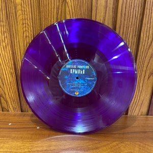 Discos de Vinilo <span class=keywords><strong>LP</strong></span> de 12 Pulgadas y 180 Gramos, Personalizados en Tamaño y Color, Productos Promocionales para Manualidades en Chaquetas, Color Negro - Product Image 2