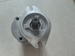 Bomba de Engranajes para Maquinaria de Construcción Xugong 1515 800013 76704 - Product Image 4