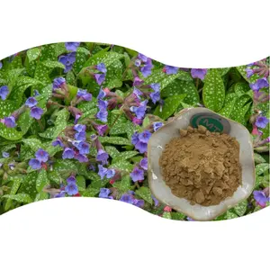 Halal Certified High Quality Pulmonaria Officinalis Extract 10:1 Lungwort Extract