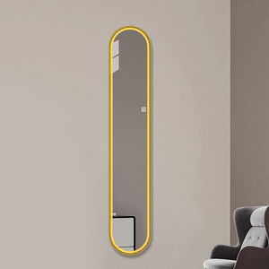 Luxus kleine Größe extrem schmal Ganzkörper spiegel Schmink spiegel LED-Licht Eingangs dekoration Langer Spiegel Wandbehang - Product Image 5