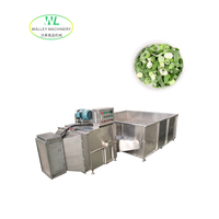 Machine de séchage et de déshydratation pour café et cacao aux herbes chinoises, haute efficacité, 5,5 kW, transformation alimentaire