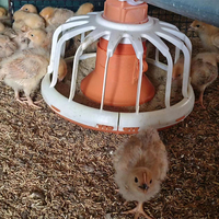 Équipement d'alimentation complet automatique pour poulailler Système de ligne d'alimentation pour poulets de chair