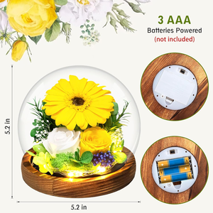 P-1 en gros véritable fleur de rose préservée dans un dôme en verre avec bande de LED cadeaux pour femme petite amie maman femme le jour de la Saint-Valentin - Product Image 6
