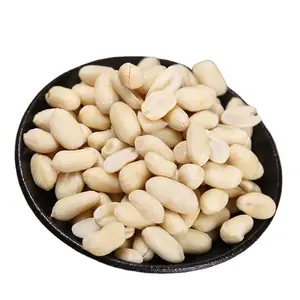 Wholesale Raw Peanut Shelled Long Shape 24/28 28/32 Blanched Peanut Kernels