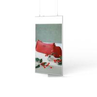 Affichage numérique suspendu ultra-fin double face 43/55 pouces |   FHD 1080P |   Logo et couleur personnalisés |   CMS gratuit |   Utilisation commerciale 24h/24 et 7j/7