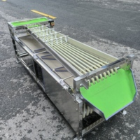 Machine de tri automatique pour oignons, mangostains, avocats, dattes, myrtilles, machine de calibrage automatique pour fruits et légumes, trieuse de tomates