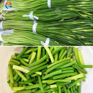 Machine à découper les légumes FC-306D commerciale pour ciboulette feuilles d'ail germes longs haricots oignon vert laitue légume - Product Image 3