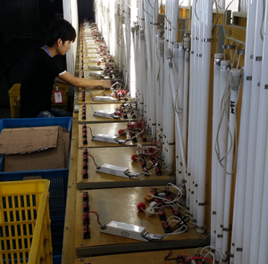 <span class=keywords><strong>Balast</strong></span> électronique, Balastro électronique 1x36w Balastro électronique Crece La Luz - Product Image 5