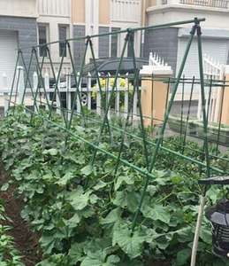 Pilier de jardinage Support de vigne grimpante Support pour plantes Support pour melon et légumes fruitiers - Product Image 3