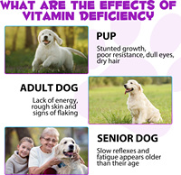 Oimmal Chien Gouttes Multivitamines Peau Manteau Coeur Os Articulations Santé Label Privé Naturel Liquide Supplément Multi-Vitamines pour Animaux de Compagnie
