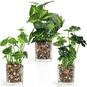 NISEVEN Hot Sale 3PCS/Set Artificial Small Plants Succulents Plants Home Decoration Artificial Succulent Plants With Glass Pot