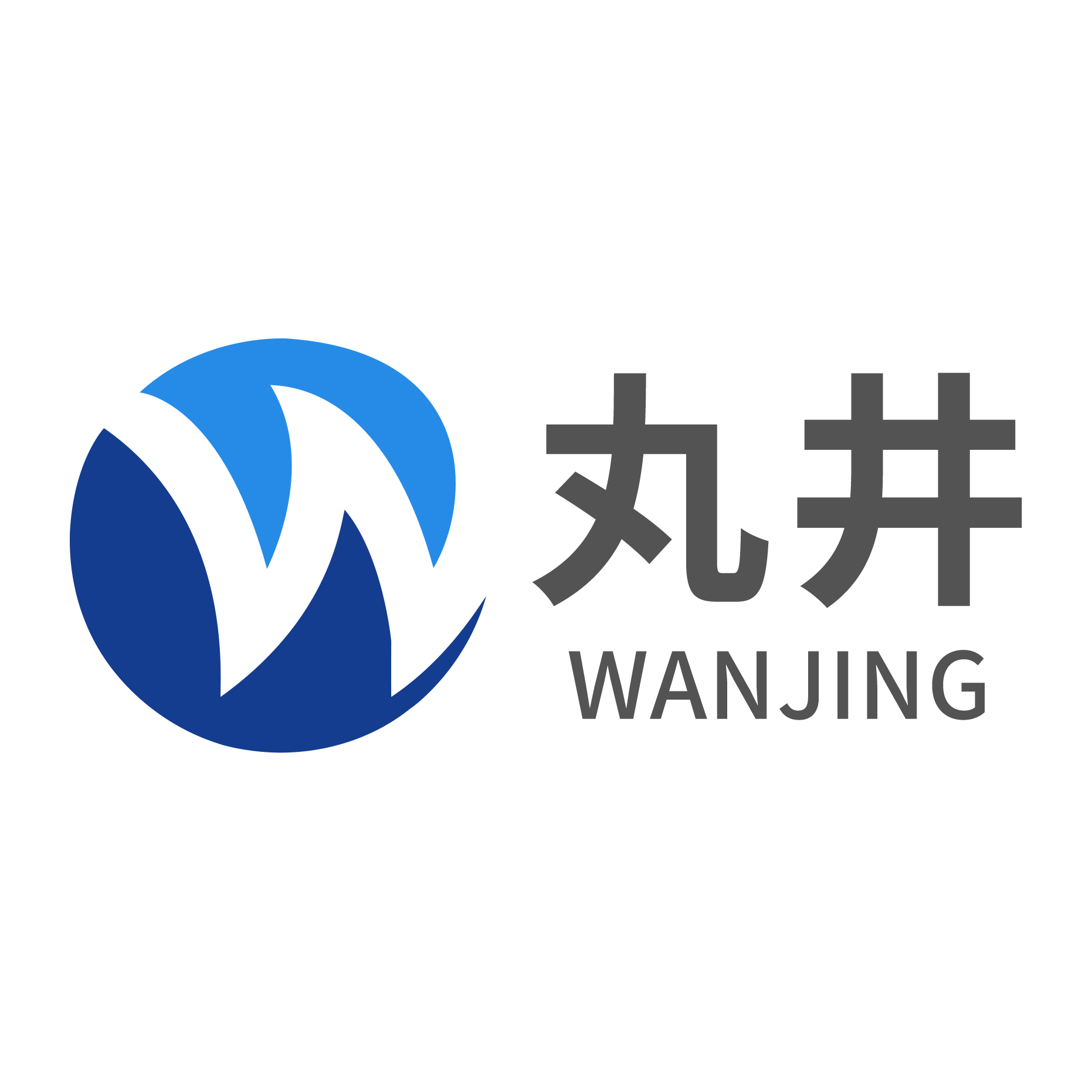 Guangdong Wanjing Automation Technology Co., Ltd. logo