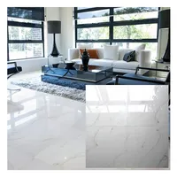 Pure White Marble Ceramic Floor Tile, Bathroom from Poland