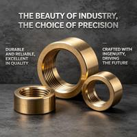 Brass Nut T-nut Trapezoidal Thread Nut Tr-nut Knurled Insert Nut 25mm Inner Diameter P0-p5 Precision Oil-Free Lubrication