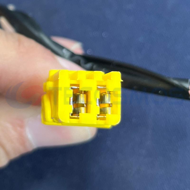 Car Connector For gasoline pump plug has two yellow pins CT2-0359M-2