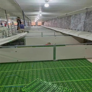 Çiftlik Piglets için Weaner kalem domuz ekipmanları için fabrika doğrudan kreş sandık durak - Product Image 3