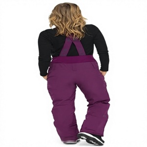 Salopettes de ski imperméables et coupe-vent pour femmes, isolées, pour l'extérieur, avec logo personnalisé, pantalons de snowboard en gros - Product Image 4