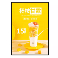 Hot New Outdoor Rectangle Plexiglass LED Light Enseigne publicitaire Panneau mural