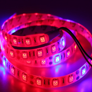 Strisce LED 60 LED/m LED5050 per Coltivazione, 12V Impermeabili Flessibili a Spettro Completo per Verdure da Interno, Cavolo, Orzotto Svizzero - Product Image 2