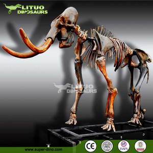 Museo de Fósiles de Animales, Dinosaurio de Mamut Animado y Realista en 3D - Product Image 5