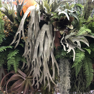 גדול סופר גדול עלה השן המדברי יער גשם טרופי תלוי צמחים ירוקים לצמח מלאכותי נוף מלאכותי - Product Image 2