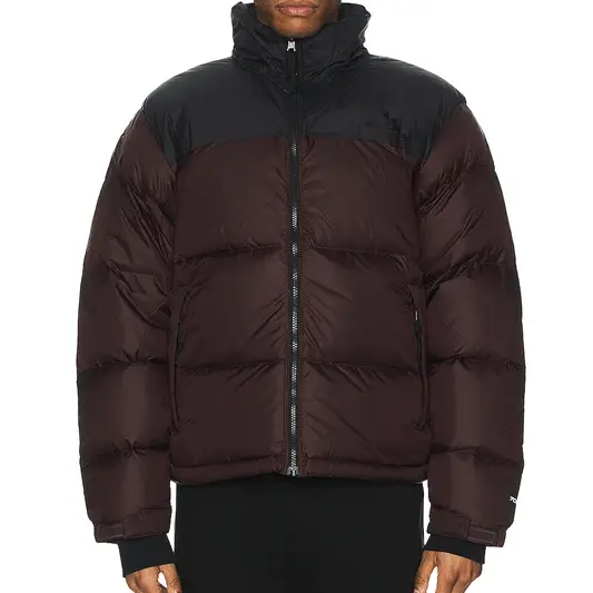 AQTQ vente en gros chaud mode faux manteau en duvet bulle d'hiver nord logo personnalisé visage compressible doudoune pour hommes