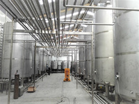 Concurrerende Industriële Schaal Kokosnoot Verwerking Lijn Kokosnoot Water En Kokosmelk Productie Plant