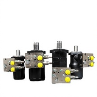 Motor Hidráulico con Válvula de Doble Equilibrio/Válvula de Alivio OMR/BMR/BM2/3/4/5, Motor de Presión para Mantener la Presión del Freno, Hecho en China