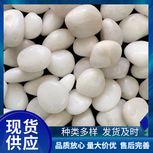 หินอาซากะหินธรรมชาติสีขาวสำหรับกลางแจ้งสวนหินซักได้สำหรับตกแต่งสวนหินสำหรับตกแต่งสวนหินแม่น้ำหิน3ปี - Product Image 6