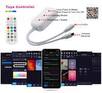 Bande lumineuse LED RGBIC WS2811 72 pixels Tuya Smart Wifi Bluetooth TV Google Alexa contrôle vocal synchronisation de la musique Flexible RGBWW 24V
