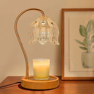 Veilleuse LED en cristal blanc chaud, bouton manuel, rechargeable USB, moderne, 2700K Ra90, 25000 heures, design tulipe, pour usage domestique - Product Image 1