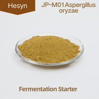 JP-M01 ASPERGILLUS ORYZAE (Koji de Sauce Soja Japonaise) Origine Chine 10 milliards UFC/g