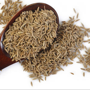 Semillas de Comino Verde Enteras Limpias con Aroma Natural, Aptas para Moler, Cocinar y Formular Especias - Product Image 5