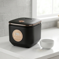 Autocuiseur multifonction numérique GB-MC355 avec minuterie, 5L, 900W, boîtier en plastique, cuve intérieure en aluminium 360g, cuiseur vapeur, cuillère, tasse à mesurer