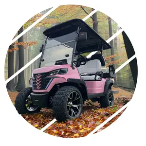 Customized Lifted Electric 4x4 Golf Cart 6 Seat Dune Buggy With Utility Box Led Screen Music