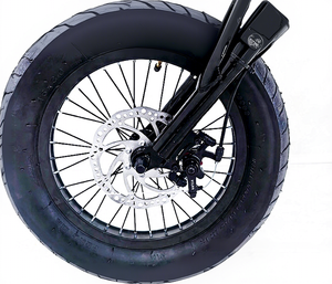 Vélo couché 16 pouces avec <span class=keywords><strong>assistance</strong></span> électrique, moteur arrière, haute vitesse, pour <span class=keywords><strong>adulte</strong></span>, <span class=keywords><strong>tricycle</strong></span> à pédales de forme personnalisée - Product Image 5