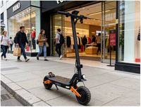 Trottinette électrique pliable en alliage d'aluminium avec pneus de 10 pouces, batterie au lithium 800W 1000W 1600W 48V 13AH 15AH 18AH, entrepôt UE