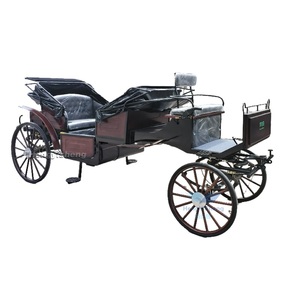 Carruaje de caballos eléctrico elegante para bodas con dosel maravilloso para transporte/Turismo transporte especial - Product Image 1