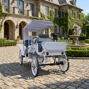 Calèche électrique personnalisable blanche de type Victoria, électrique/à chevaux, capacité de 6 personnes pour des excursions confortables - Product Image 1