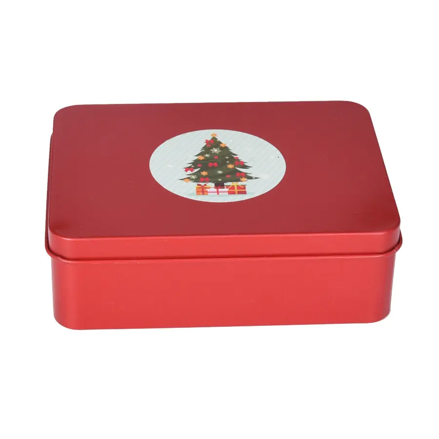 Kit de démarrage pour plantes Coffret cadeau surprise de Noël Boîte de plantation pour cartes de semences Décoration intérieure bonsaï