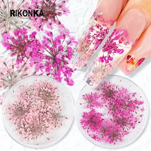 Dry Flowers Natural Nail Art Sequin Decoration 3D Flake Red Petal Manicure Charm Accessory Kit for UV Gel Nail Tip Designs